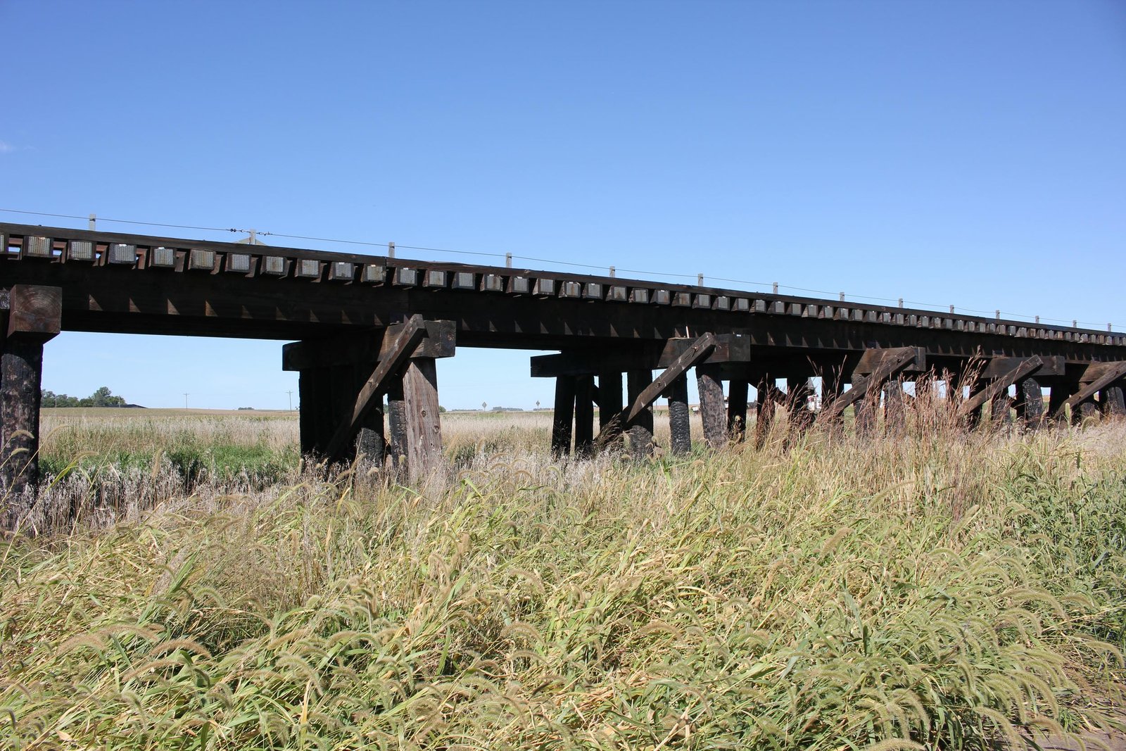 Typical spans, center trestle